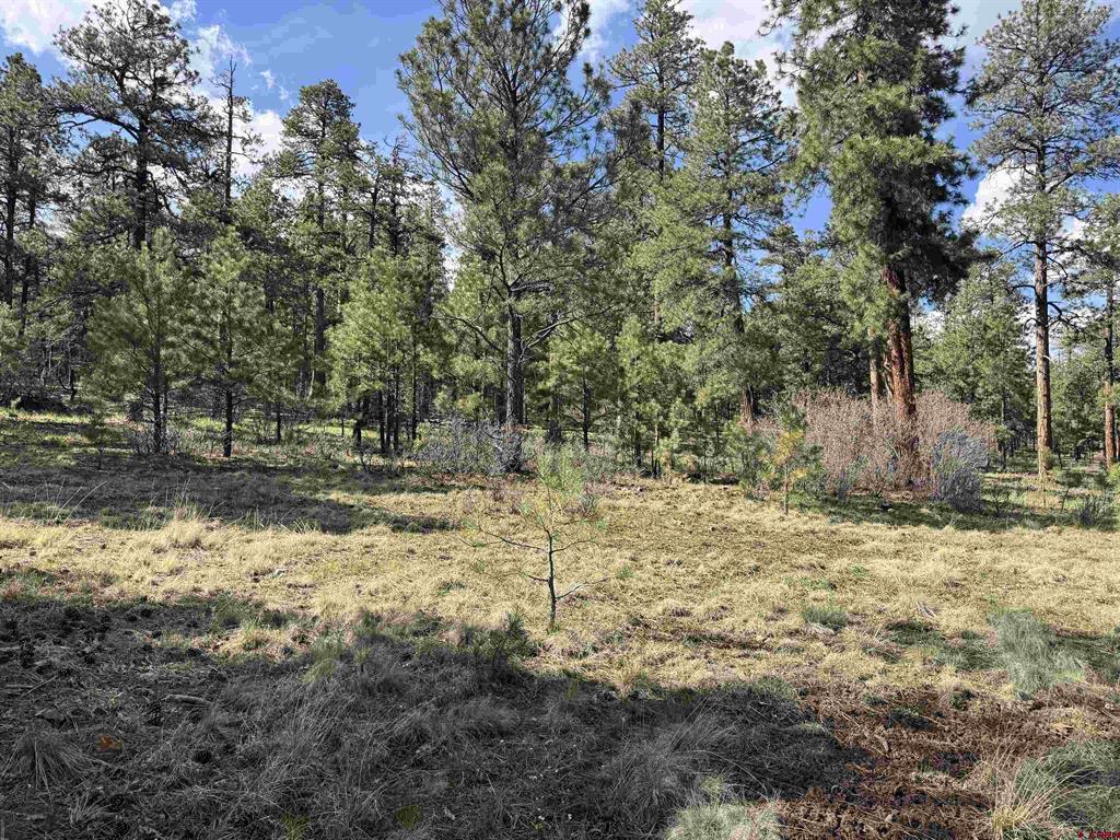 51 Diamond Court Pagosa Springs CO 81147