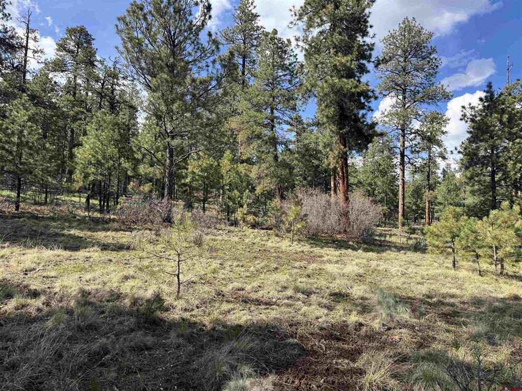 51 Diamond Court Pagosa Springs CO 81147
