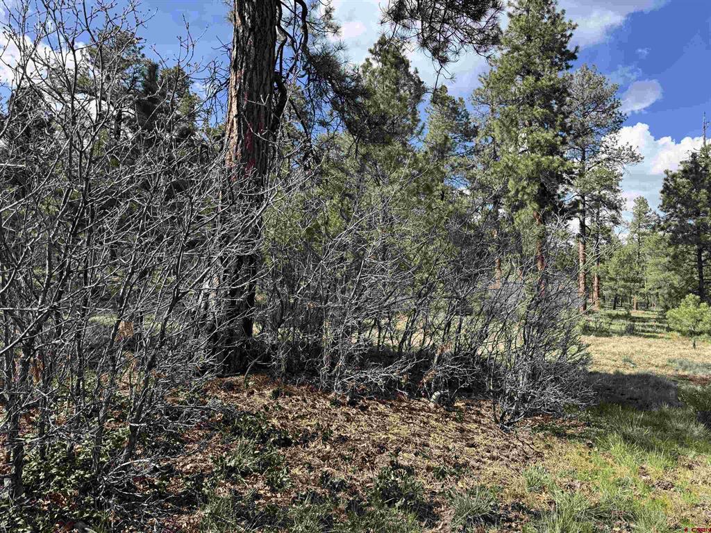 51 Diamond Court Pagosa Springs CO 81147