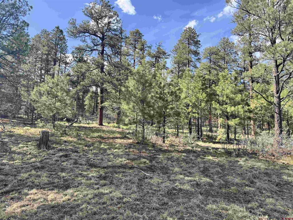 51 Diamond Court Pagosa Springs CO 81147