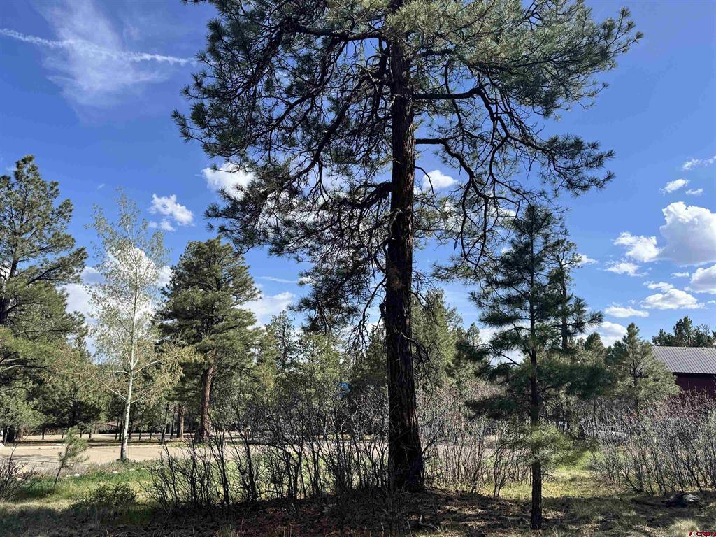 51 Diamond Court Pagosa Springs CO 81147