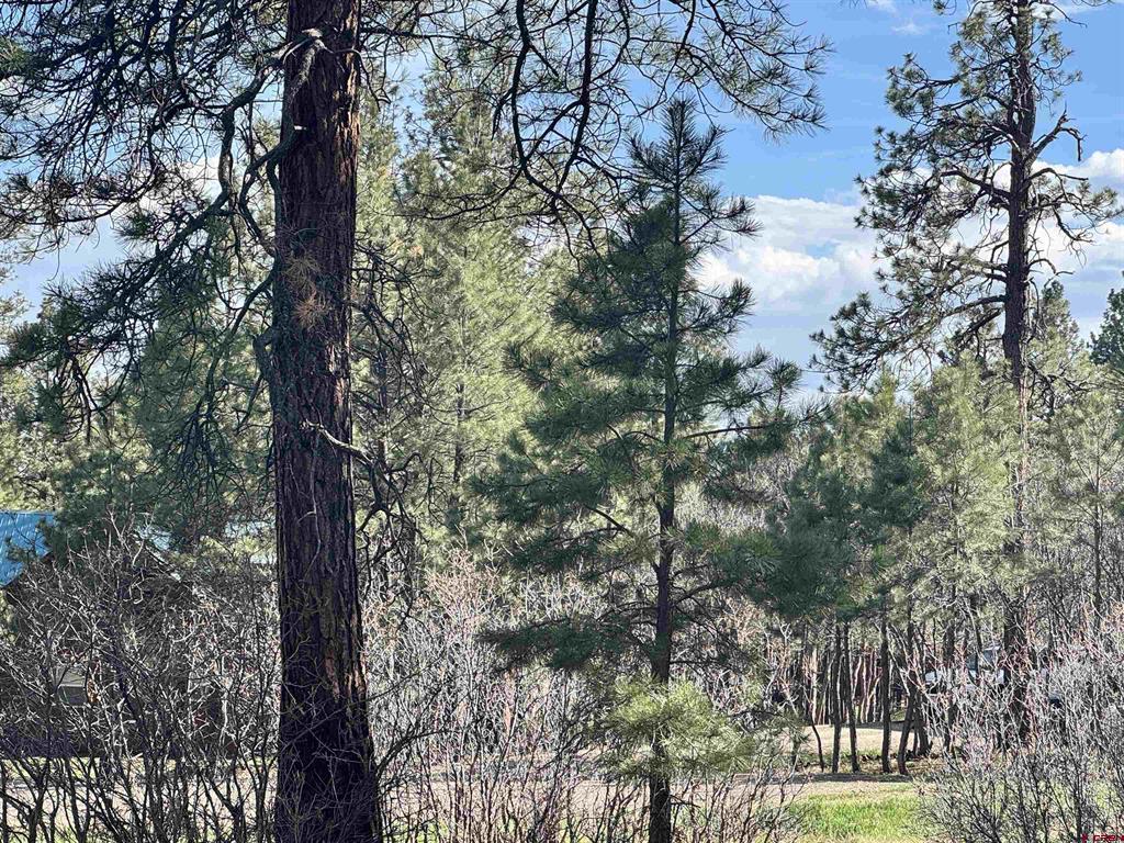 51 Diamond Court Pagosa Springs CO 81147