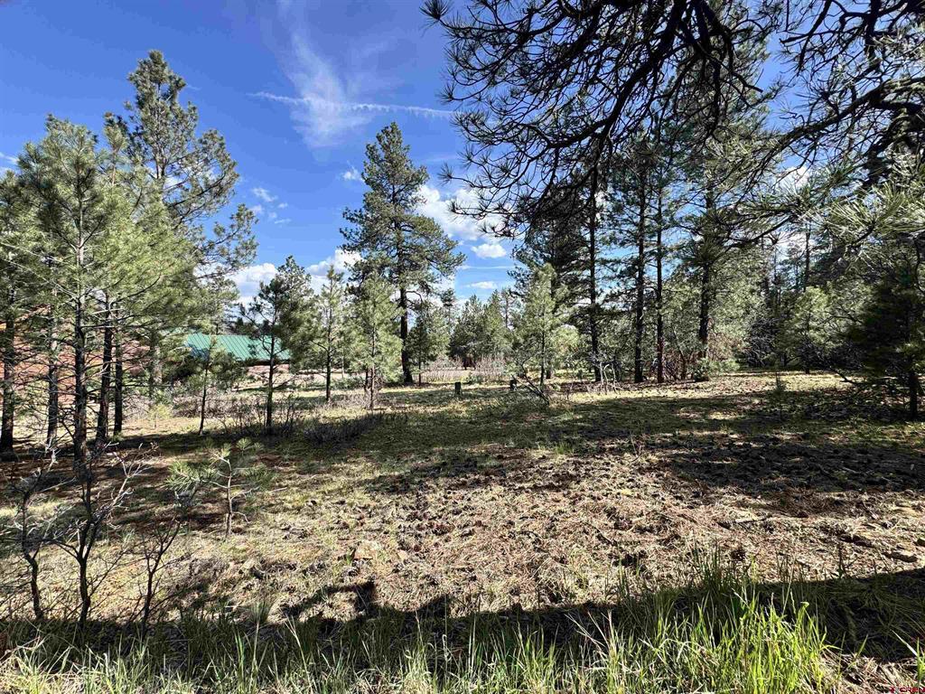 51 Diamond Court Pagosa Springs CO 81147