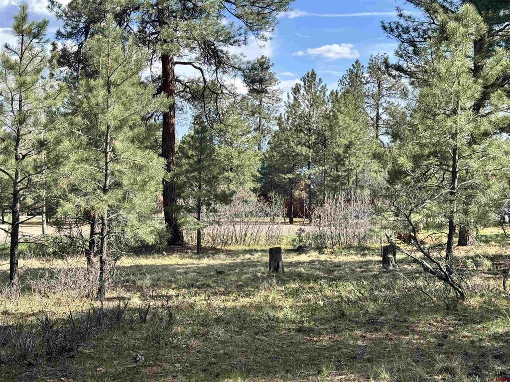 51 Diamond Court Pagosa Springs CO 81147