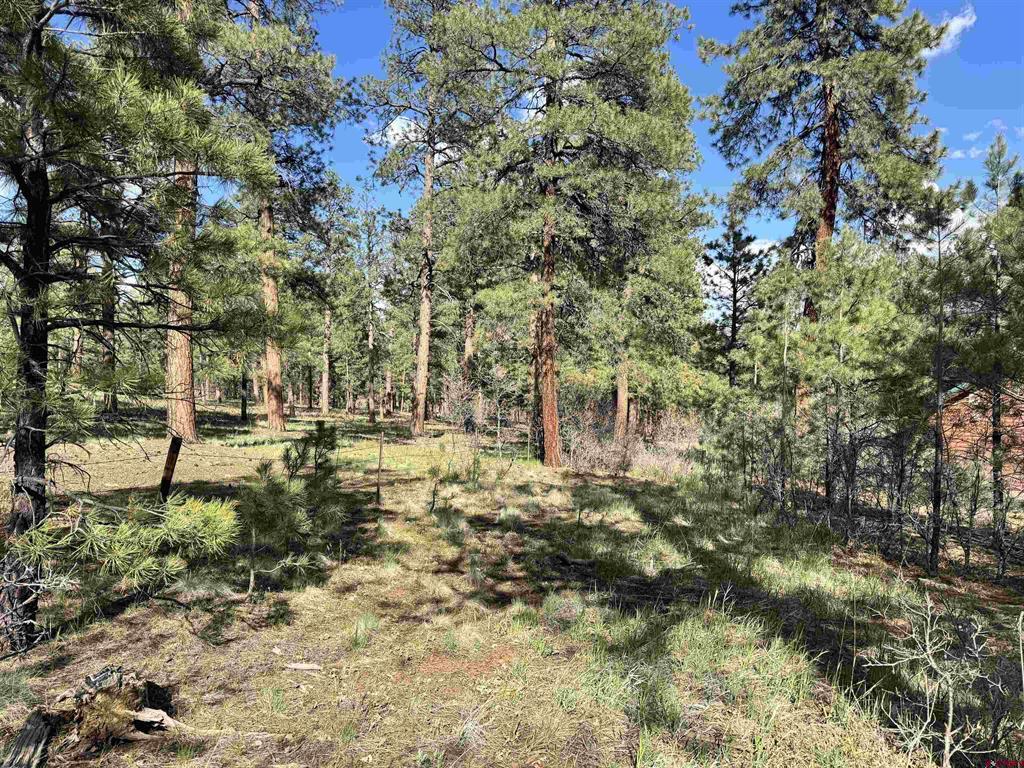 51 Diamond Court Pagosa Springs CO 81147
