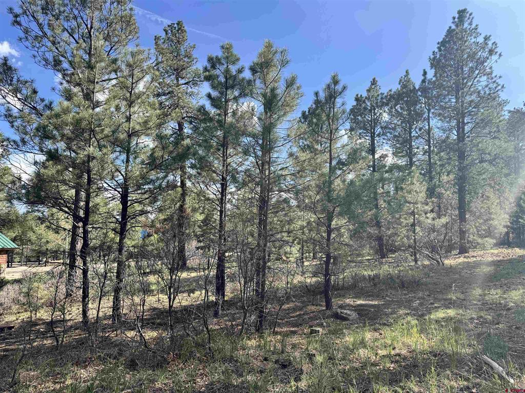 51 Diamond Court Pagosa Springs CO 81147