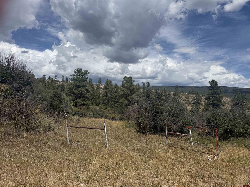 1134 Ludwig Drive Bayfield CO 81122