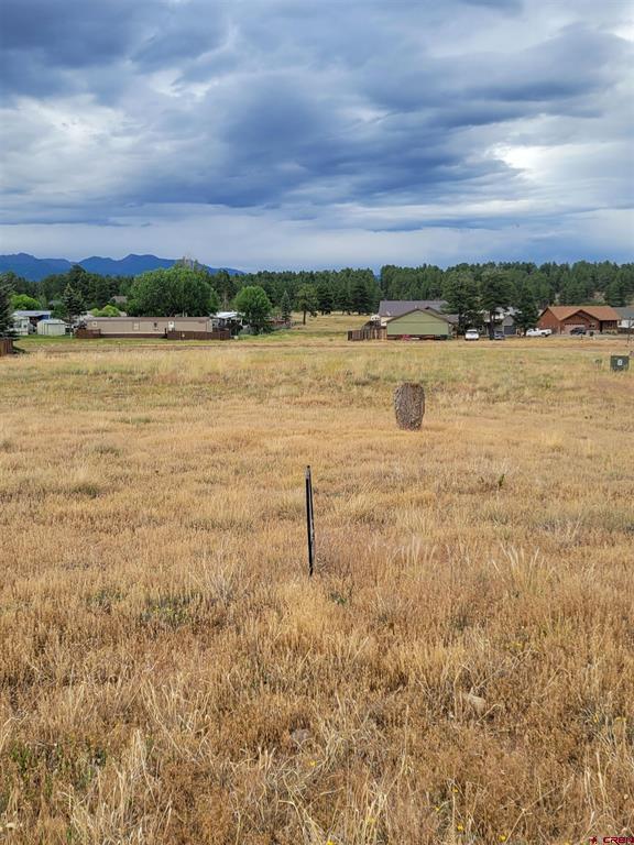 99 Fireside Street Pagosa Springs CO 81147