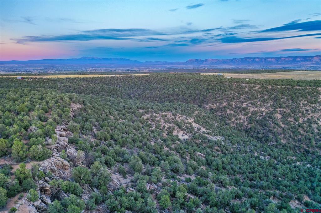 Tbd Road 20 Cortez CO 81321