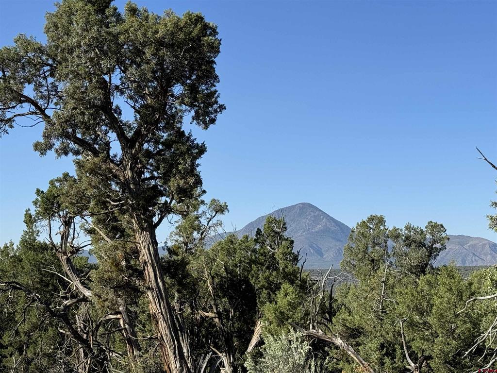 Tbd Road 20 Cortez CO 81321