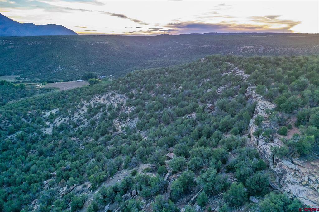 Tbd Road 20 Cortez CO 81321