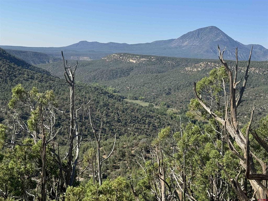 Tbd Road 20 Cortez CO 81321