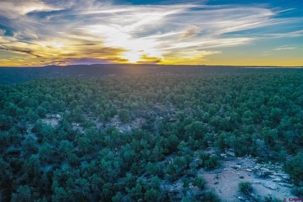 Tbd Road 20 Cortez CO 81321