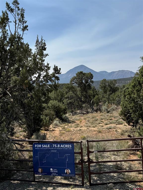 Tbd Road 20 Cortez CO 81321