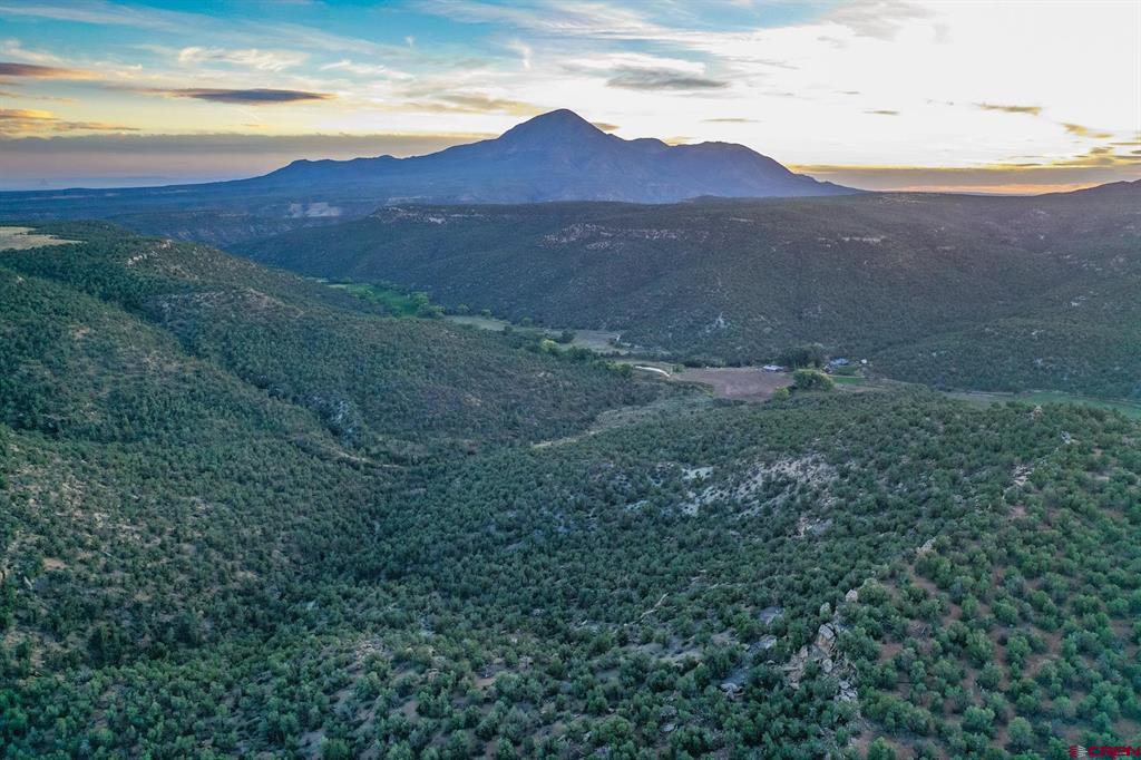 Tbd Road 20 Cortez CO 81321