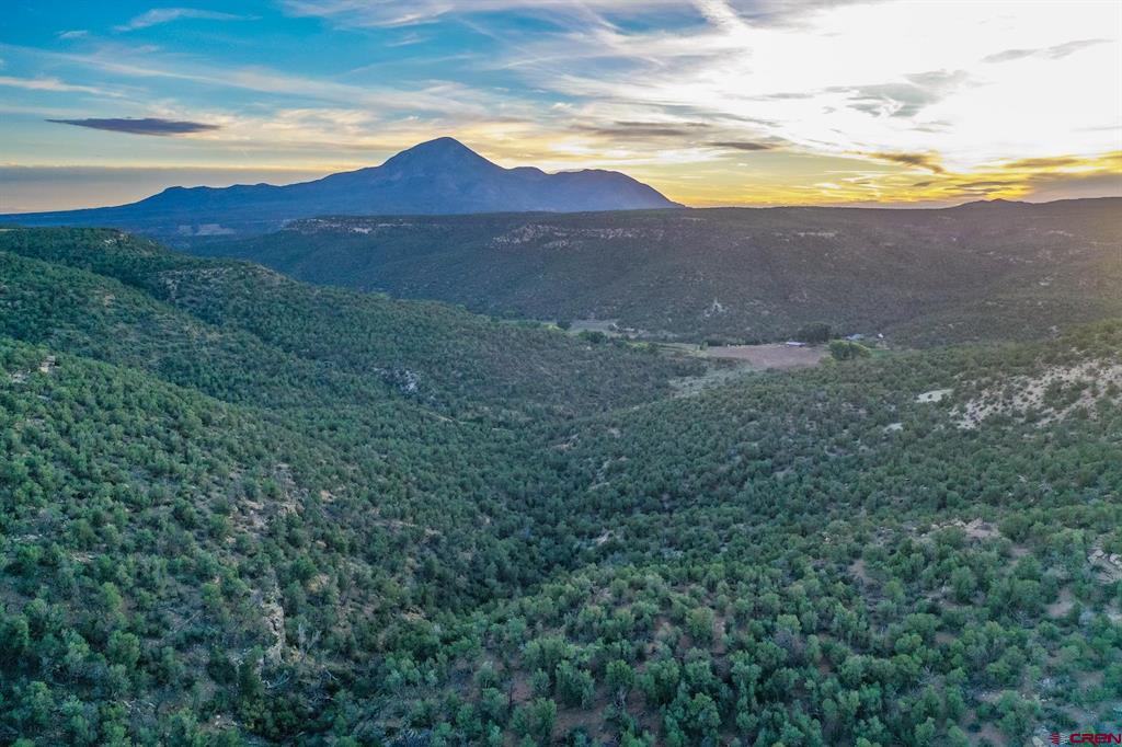 Tbd Road 20 Cortez CO 81321