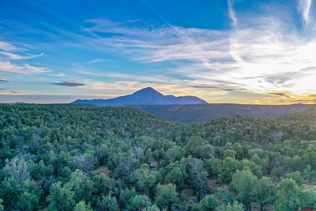 Tbd Road 20 Cortez CO 81321