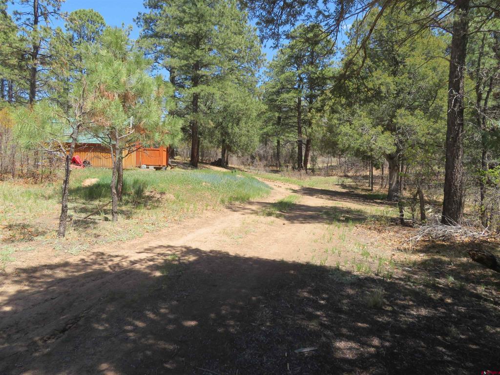 123 Susan's Place Pagosa Springs CO 81147