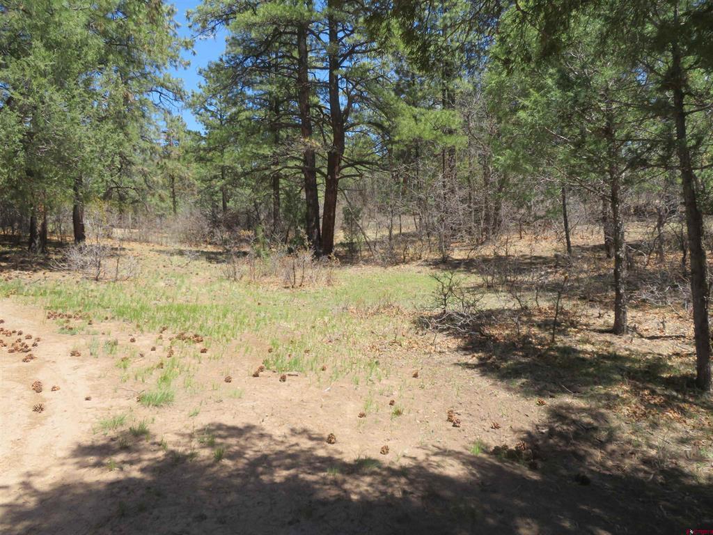 123 Susan's Place Pagosa Springs CO 81147