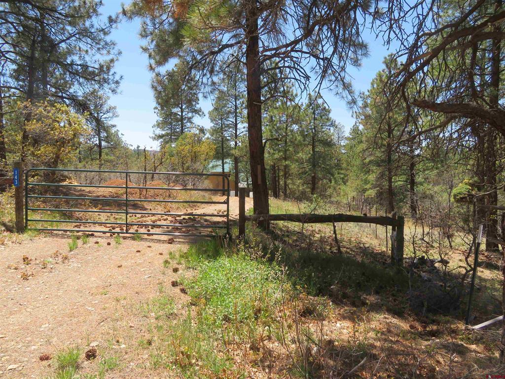 123 Susan's Place Pagosa Springs CO 81147