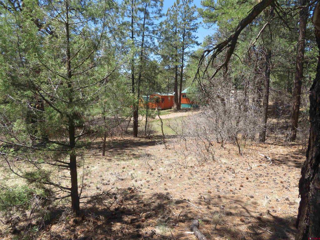 123 Susan's Place Pagosa Springs CO 81147