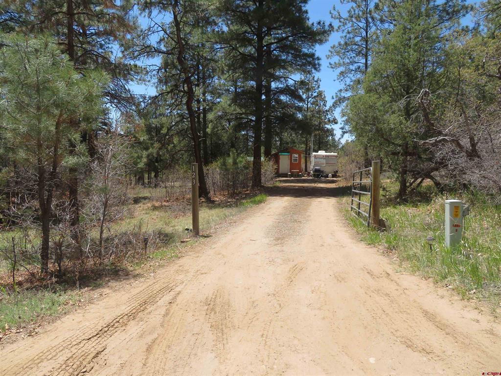 123 Susan's Place Pagosa Springs CO 81147
