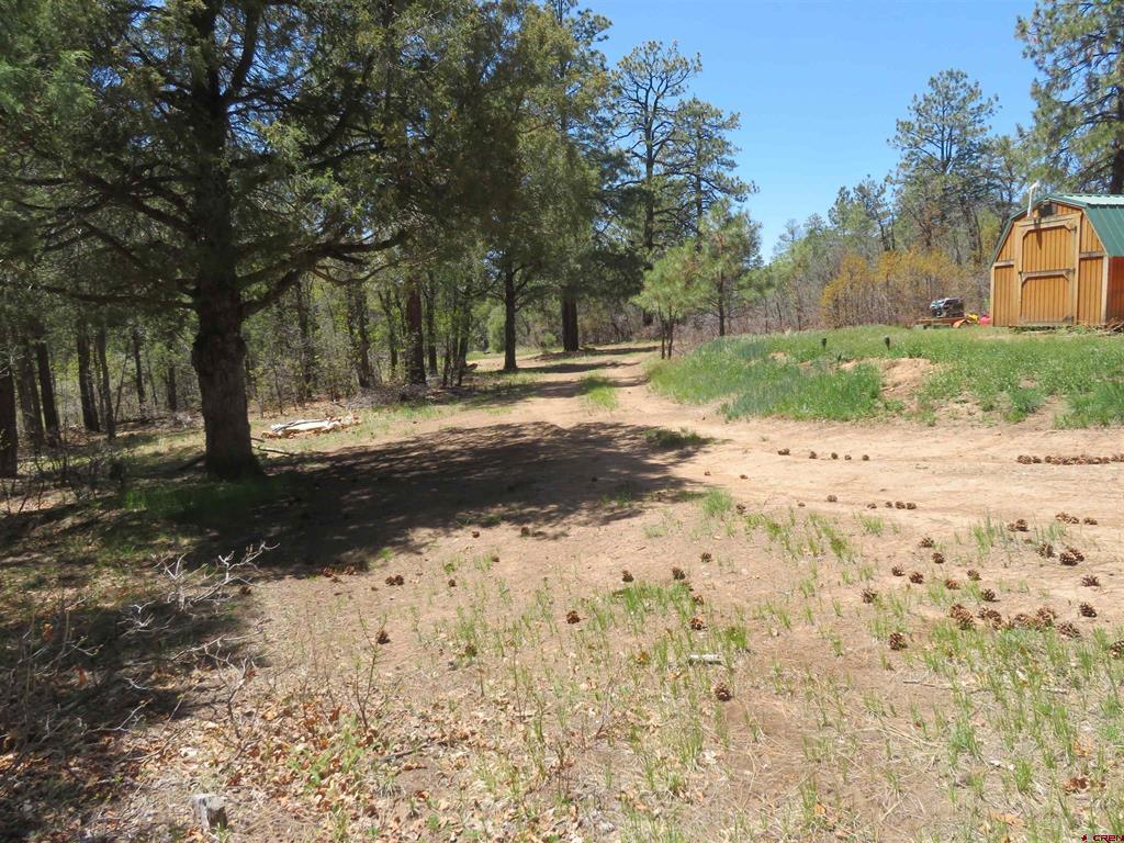 123 Susan's Place Pagosa Springs CO 81147