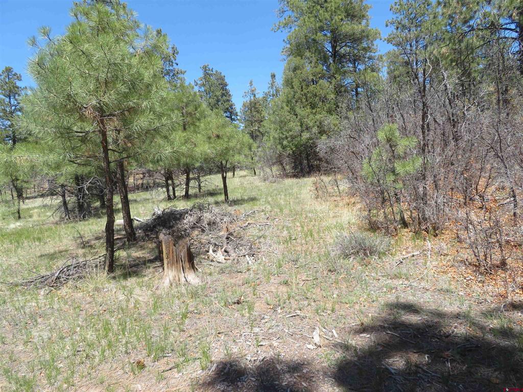 123 Susan's Place Pagosa Springs CO 81147