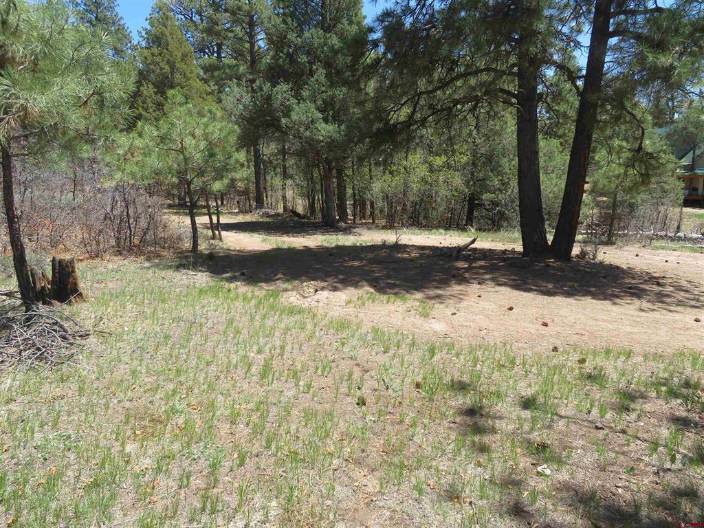 123 Susan's Place Pagosa Springs CO 81147