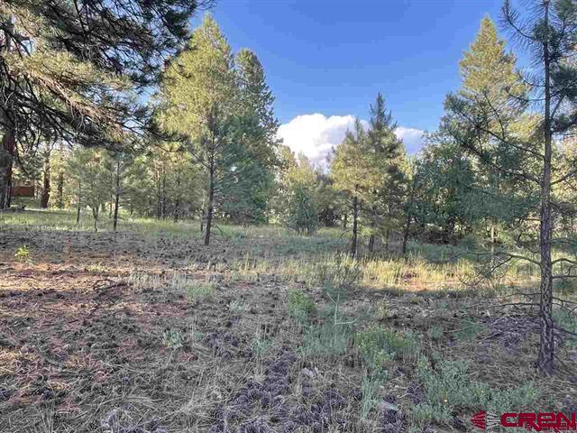 762 Hills Circle Pagosa Springs CO 81147