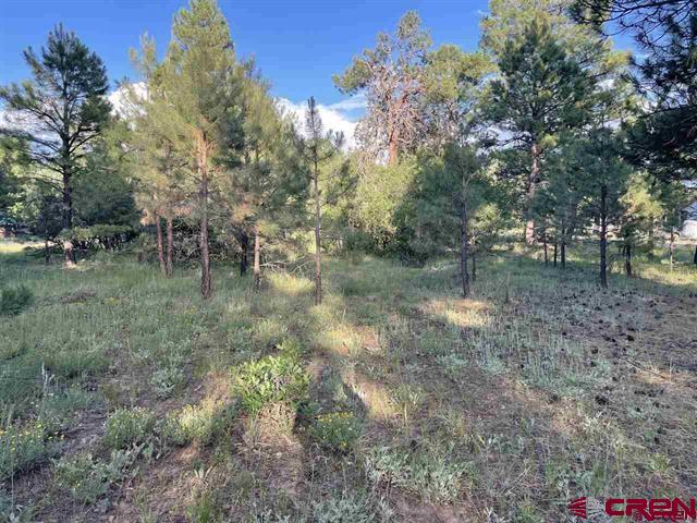 762 Hills Circle Pagosa Springs CO 81147