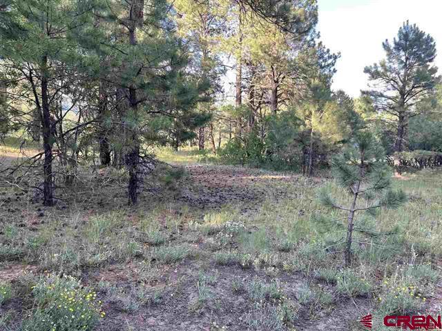 762 Hills Circle Pagosa Springs CO 81147