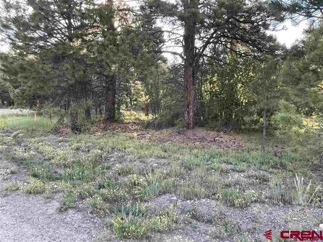 762 Hills Circle Pagosa Springs CO 81147