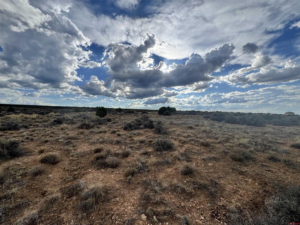 Tbd K57 Trail Montrose CO 81403