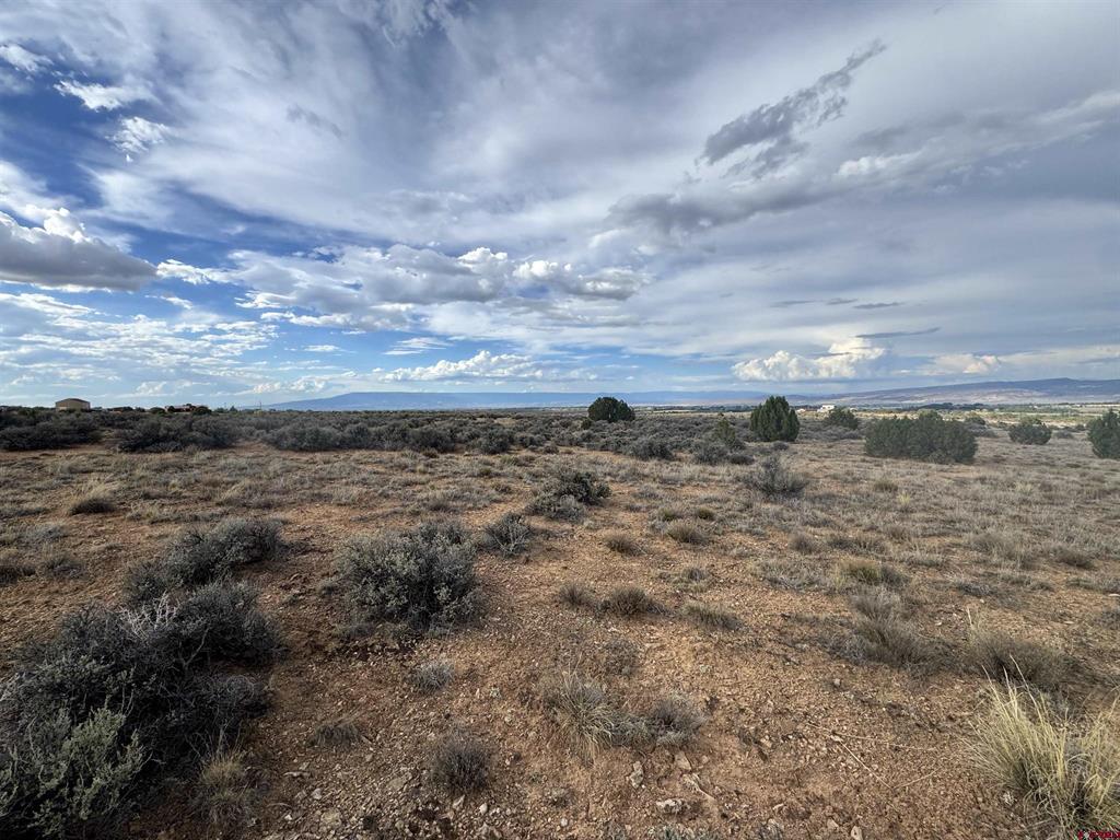 Tbd K57 Trail Montrose CO 81403