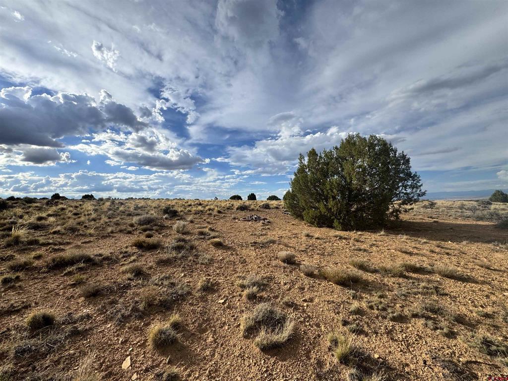 Tbd K57 Trail Montrose CO 81403