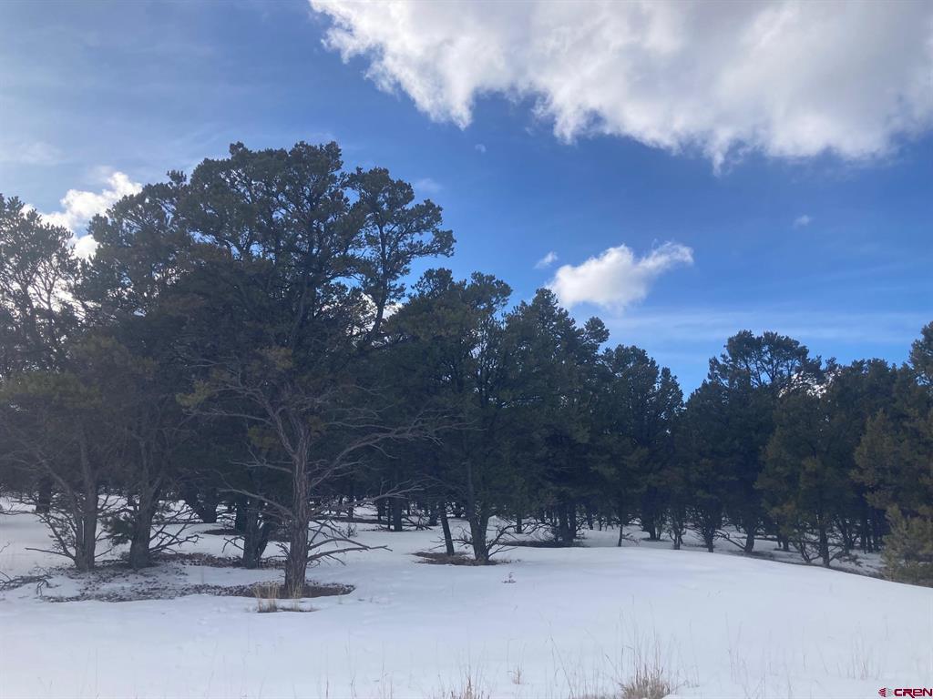 Lot 2 (TBD) Snowberry Lane Ridgway CO 81432