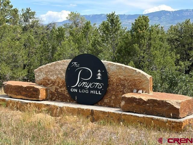 Lot 2 (TBD) Snowberry Lane Ridgway CO 81432
