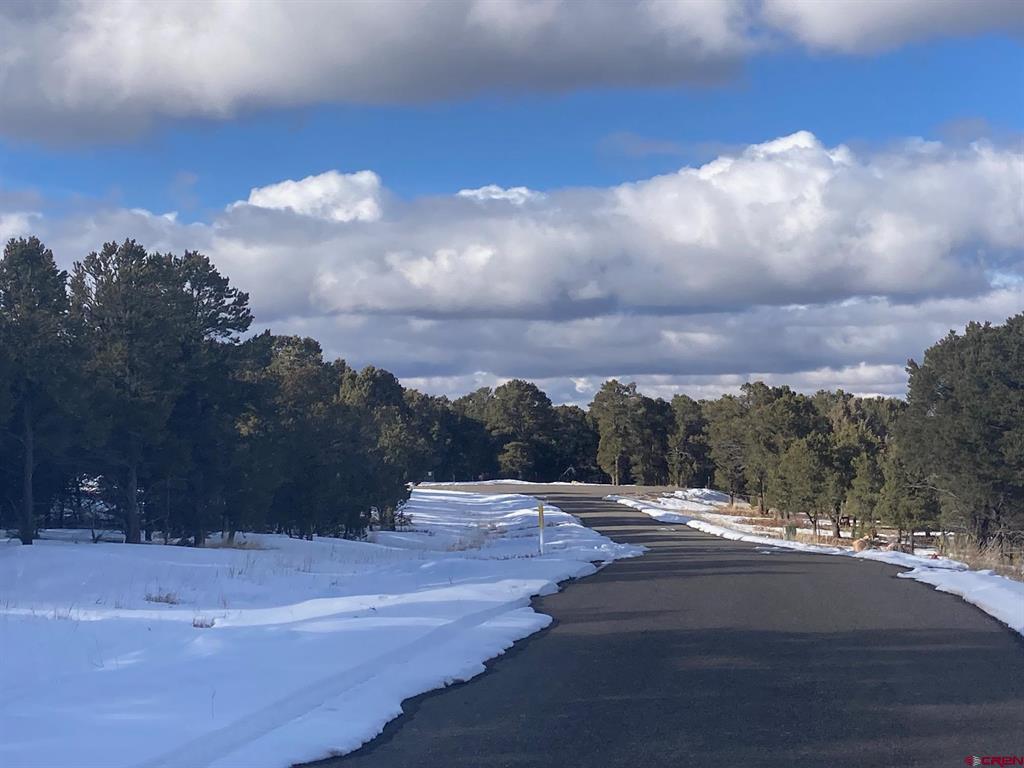 Lot 2 (TBD) Snowberry Lane Ridgway CO 81432