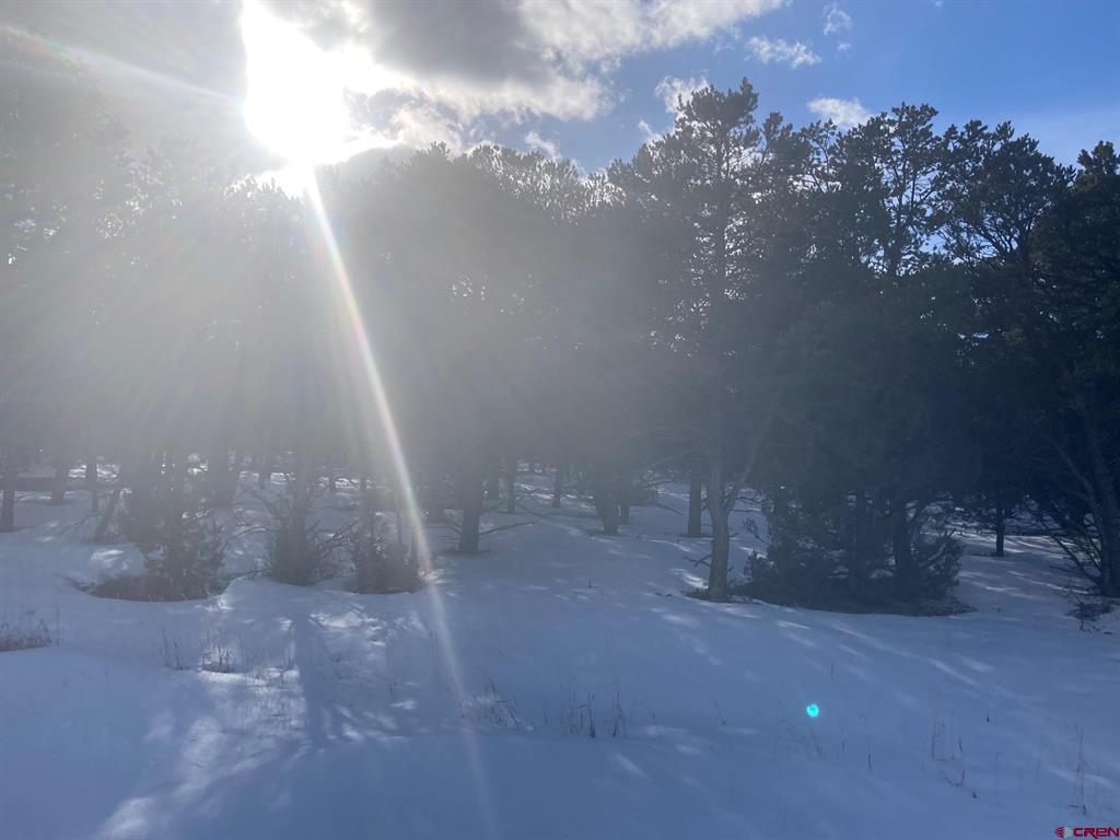 Lot 2 (TBD) Snowberry Lane Ridgway CO 81432
