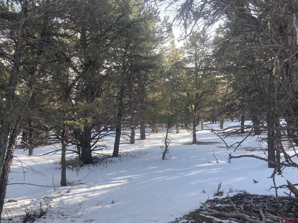 Lot 2 (TBD) Snowberry Lane Ridgway CO 81432