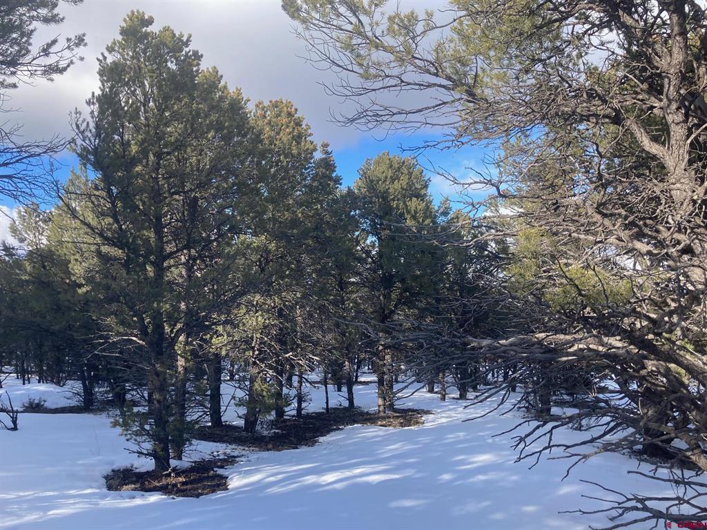 Lot 2 (TBD) Snowberry Lane Ridgway CO 81432