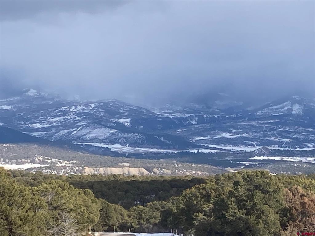 Lot 2 (TBD) Snowberry Lane Ridgway CO 81432