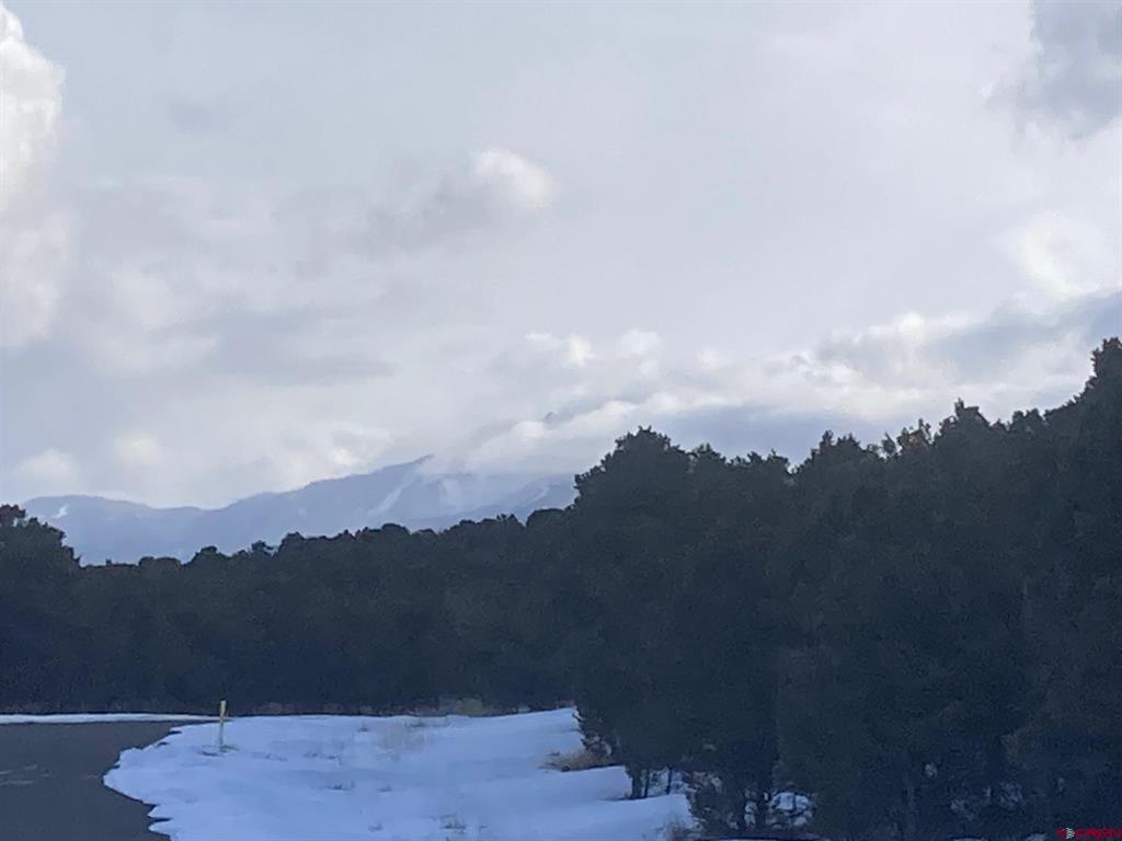 Lot 2 (TBD) Snowberry Lane Ridgway CO 81432