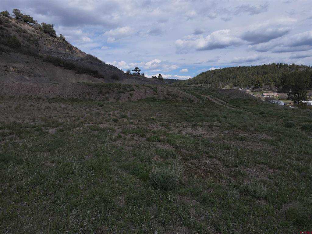 267 Greenback Court Pagosa Springs CO 81147