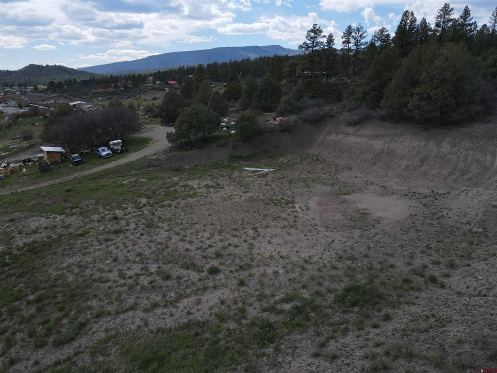 267 Greenback Court Pagosa Springs CO 81147