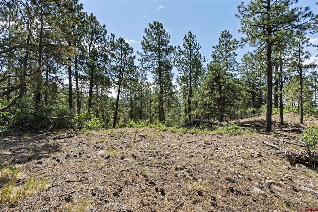 319 Blue Ridge Circle Bayfield CO 81122