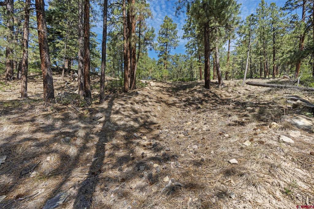 319 Blue Ridge Circle Bayfield CO 81122