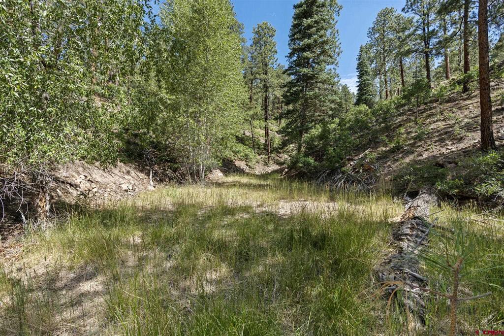 319 Blue Ridge Circle Bayfield CO 81122