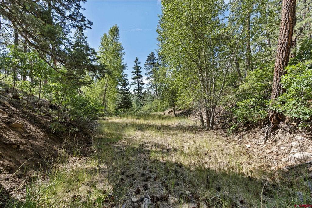 319 Blue Ridge Circle Bayfield CO 81122